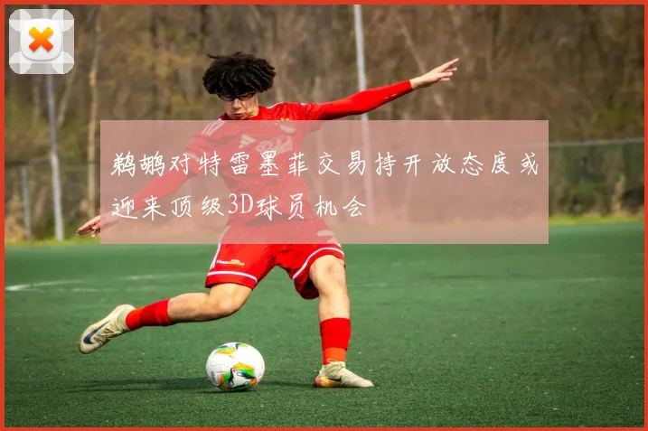 鹈鹕对特雷墨菲交易持开放态度或迎来顶级3D球员机会